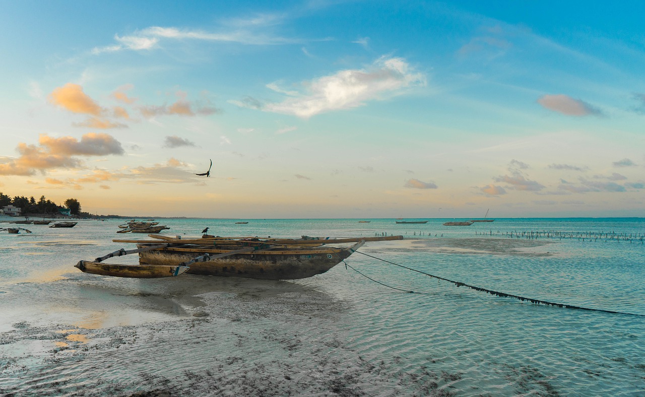 De perfecte vakantie? Vakantie Zanzibar 2022 