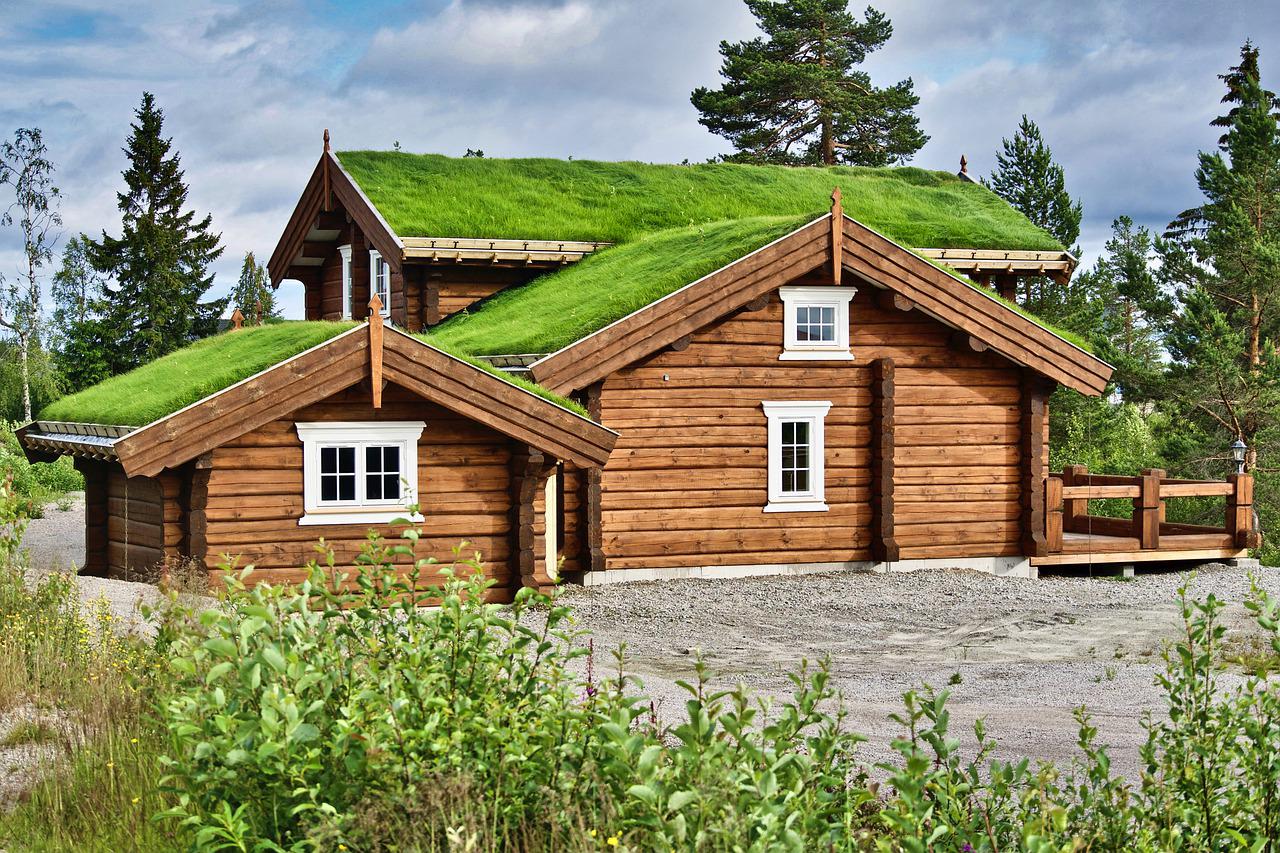 Groen dak – misschien met zonnepanelen?